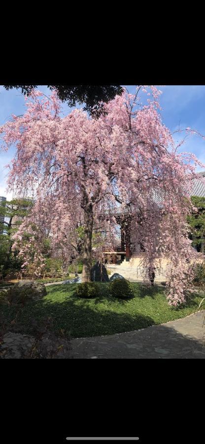 桜宿28 Square Meter King Size Bed With Sofa Bed, Garden * 東京都